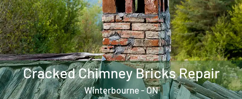 Cracked Chimney Bricks Repair Winterbourne - ON