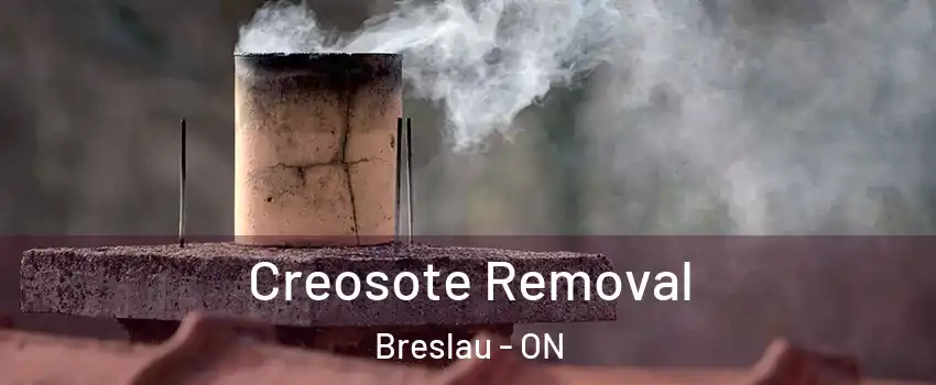 Creosote Removal Breslau - ON