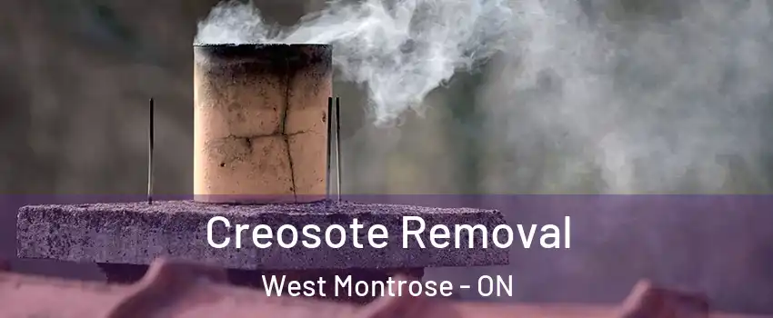  Creosote Removal West Montrose - ON