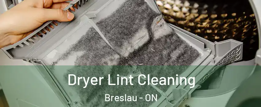 Dryer Lint Cleaning Breslau - ON