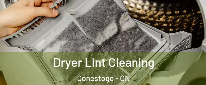 Dryer Lint Cleaning Conestogo - ON