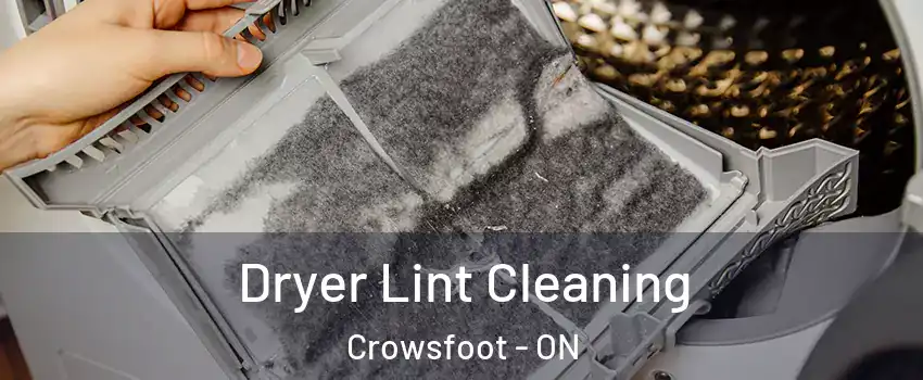 Dryer Lint Cleaning Crowsfoot - ON