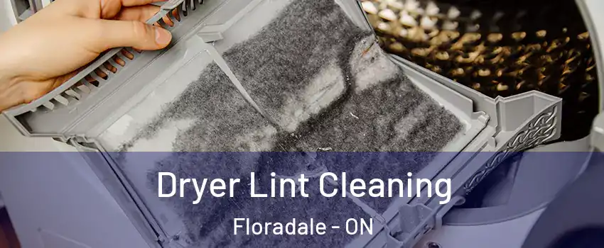 Dryer Lint Cleaning Floradale - ON