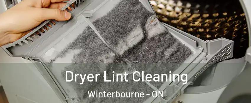 Dryer Lint Cleaning Winterbourne - ON
