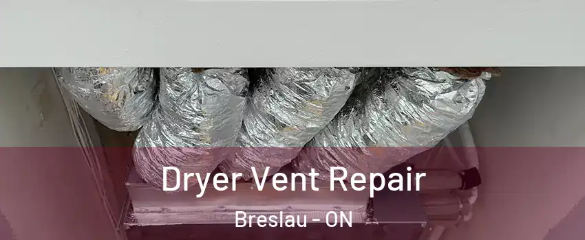 Dryer Vent Repair Breslau - ON