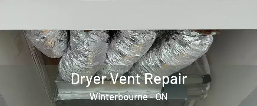 Dryer Vent Repair Winterbourne - ON