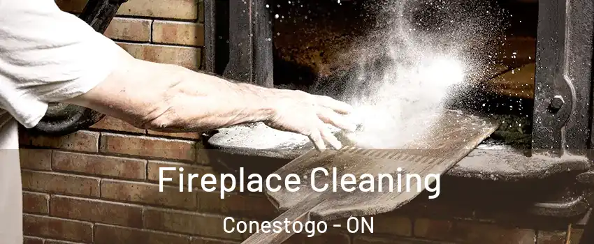 Fireplace Cleaning Conestogo - ON