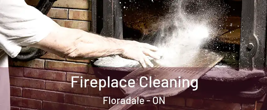 Fireplace Cleaning Floradale - ON