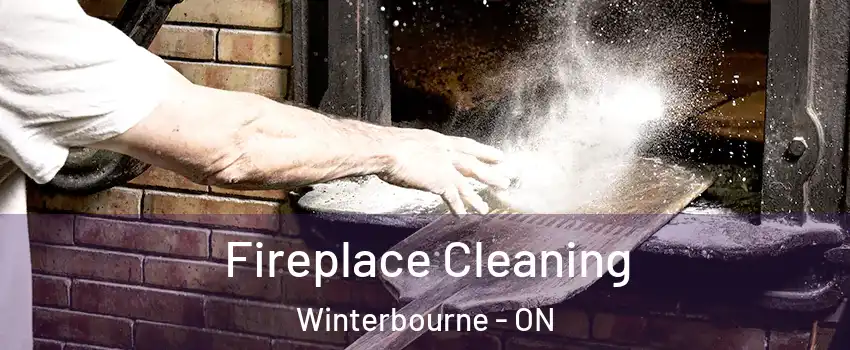 Fireplace Cleaning Winterbourne - ON
