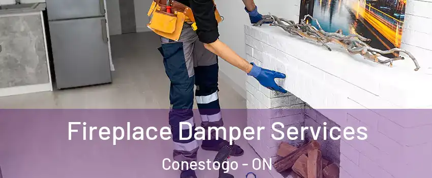 Fireplace Damper Services Conestogo - ON