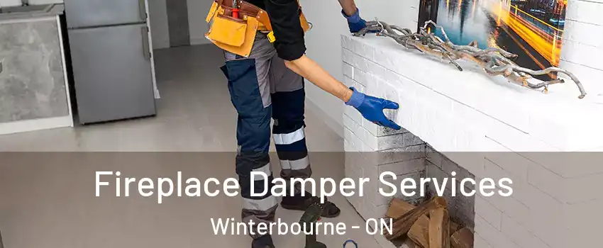 Fireplace Damper Services Winterbourne - ON