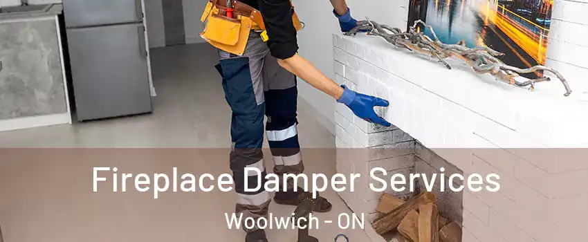 Fireplace Damper Services Woolwich - ON