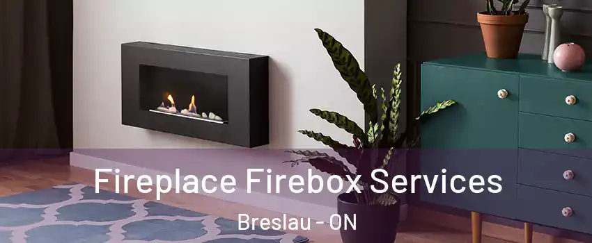 Fireplace Firebox Services Breslau - ON