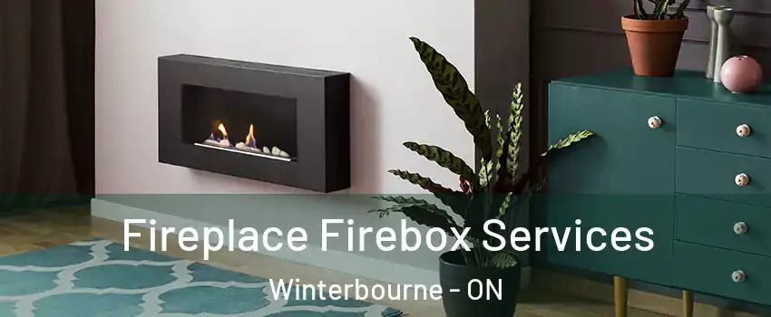 Fireplace Firebox Services Winterbourne - ON