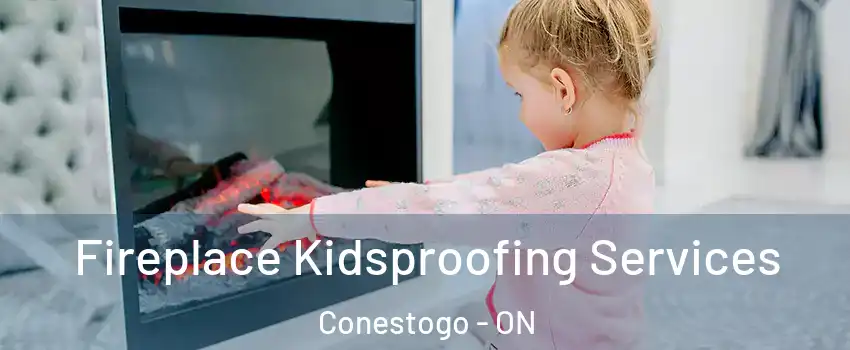 Fireplace Kidsproofing Services Conestogo - ON
