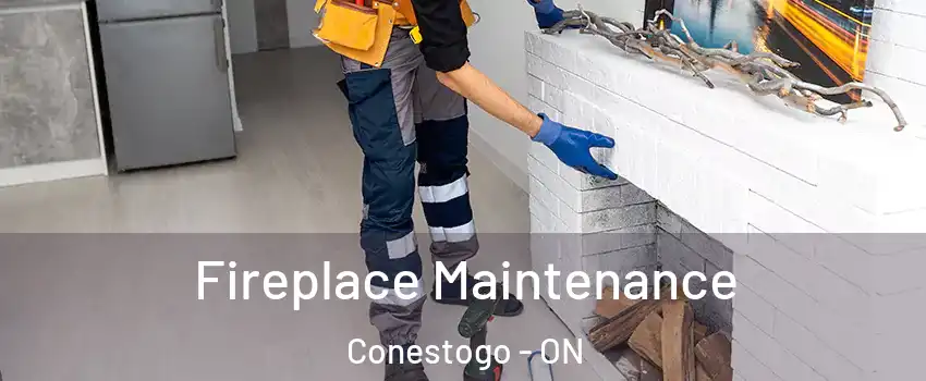 Fireplace Maintenance Conestogo - ON