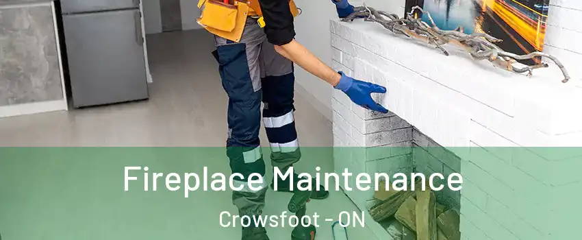 Fireplace Maintenance Crowsfoot - ON