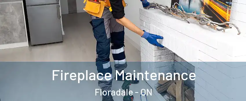  Fireplace Maintenance Floradale - ON