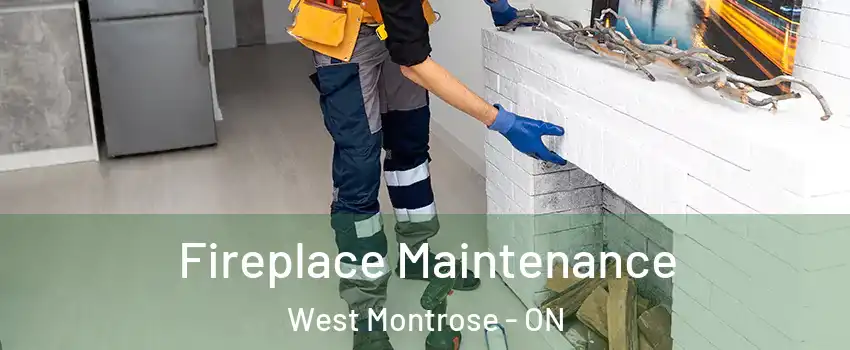  Fireplace Maintenance West Montrose - ON