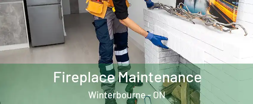 Fireplace Maintenance Winterbourne - ON