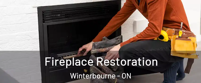 Fireplace Restoration Winterbourne - ON