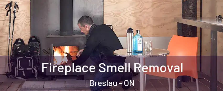 Fireplace Smell Removal Breslau - ON