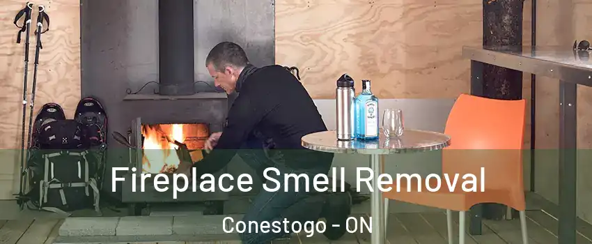 Fireplace Smell Removal Conestogo - ON