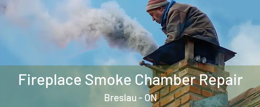Fireplace Smoke Chamber Repair Breslau - ON
