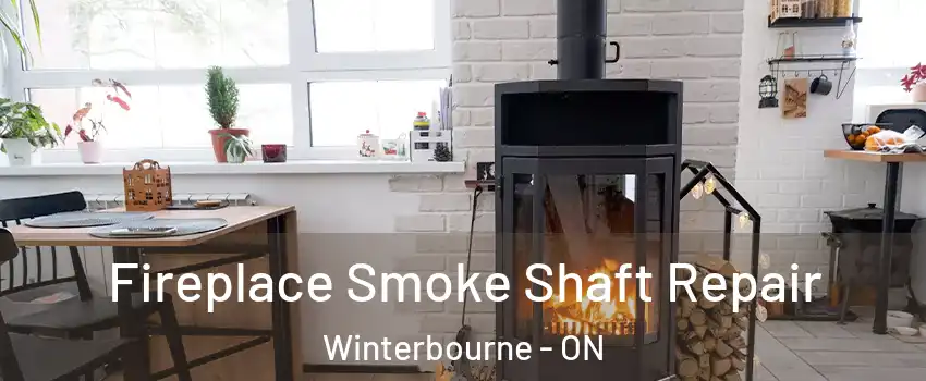 Fireplace Smoke Shaft Repair Winterbourne - ON