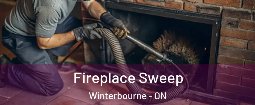 Fireplace Sweep Winterbourne - ON