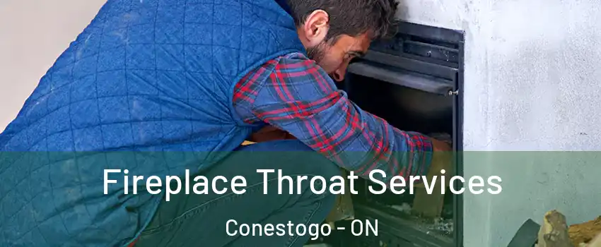 Fireplace Throat Services Conestogo - ON