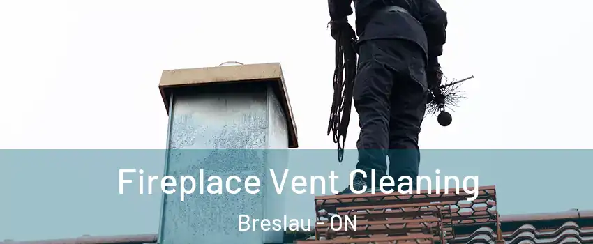 Fireplace Vent Cleaning Breslau - ON