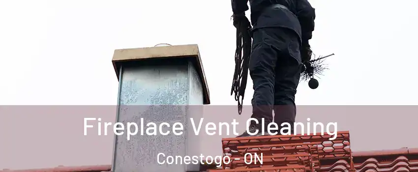 Fireplace Vent Cleaning Conestogo - ON