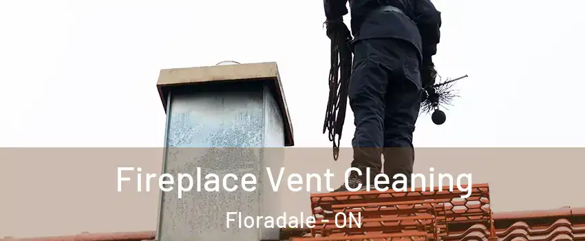 Fireplace Vent Cleaning Floradale - ON