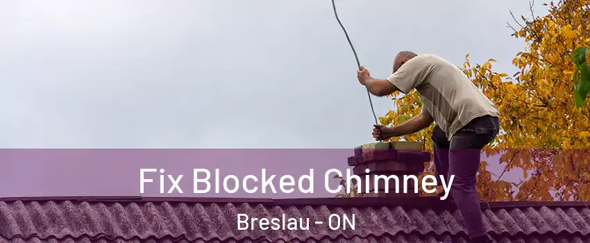Fix Blocked Chimney Breslau - ON