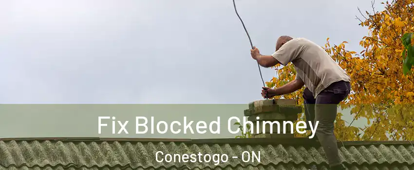 Fix Blocked Chimney Conestogo - ON