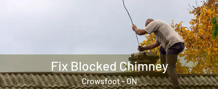 Fix Blocked Chimney Crowsfoot - ON