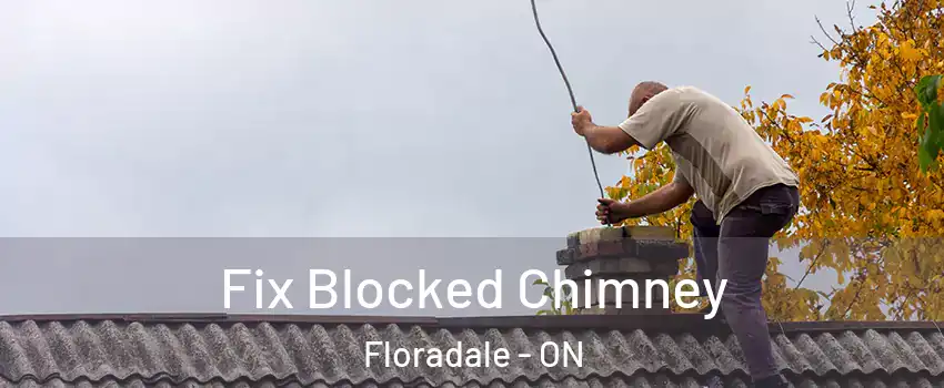 Fix Blocked Chimney Floradale - ON