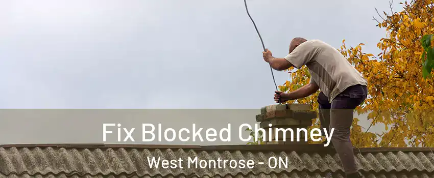 Fix Blocked Chimney West Montrose - ON