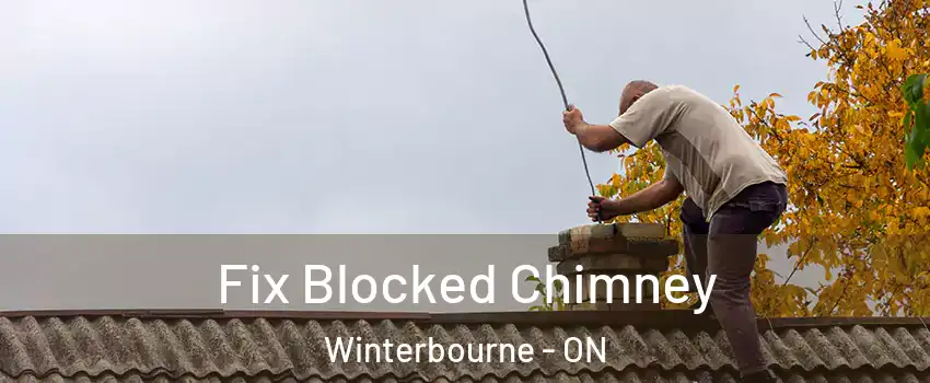 Fix Blocked Chimney Winterbourne - ON