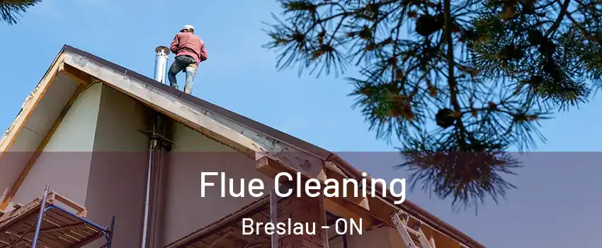 Flue Cleaning Breslau - ON