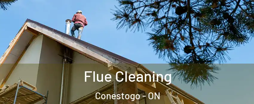 Flue Cleaning Conestogo - ON