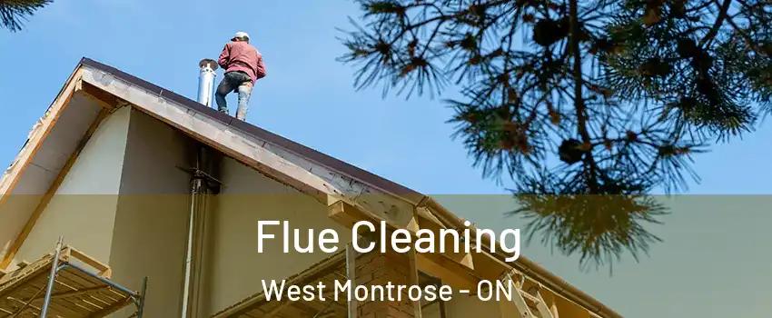 Flue Cleaning West Montrose - ON