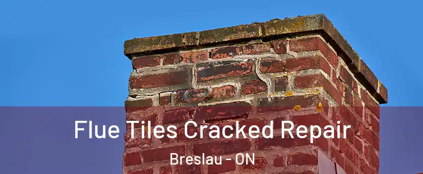 Flue Tiles Cracked Repair Breslau - ON