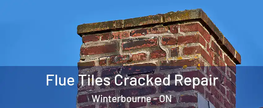 Flue Tiles Cracked Repair Winterbourne - ON