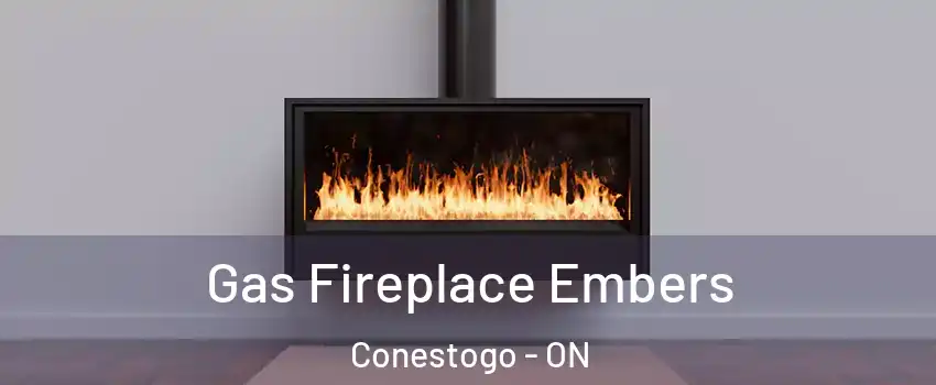 Gas Fireplace Embers Conestogo - ON