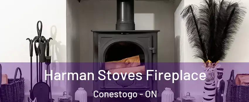 Harman Stoves Fireplace Conestogo - ON