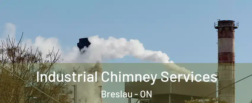 Industrial Chimney Services Breslau - ON