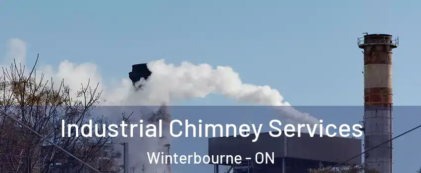 Industrial Chimney Services Winterbourne - ON