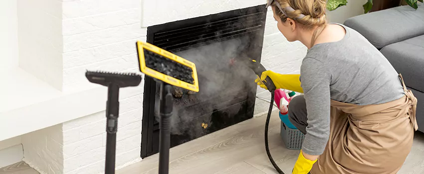 Fireplace Doors Cleaning in Woolwich, Ontario